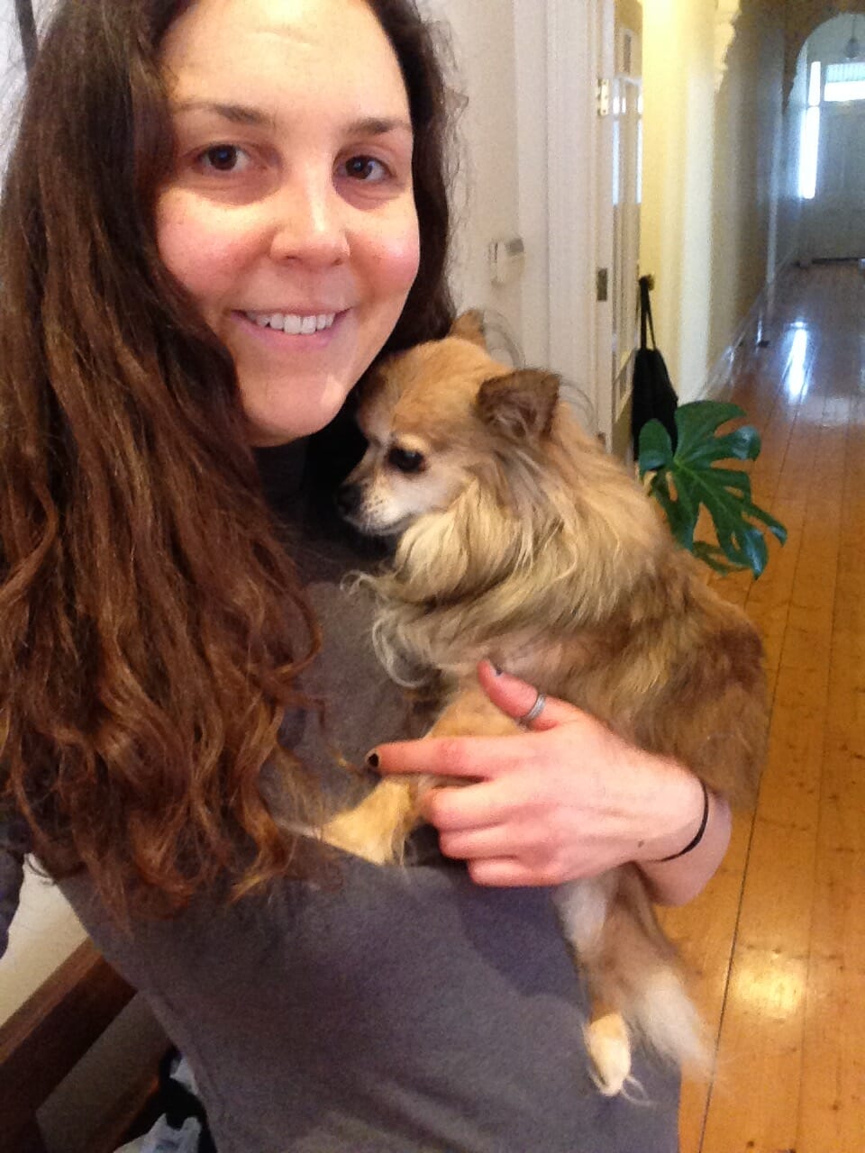 How to Find a Pet Sitter (Learn to Find A Reliable and Trustworthy