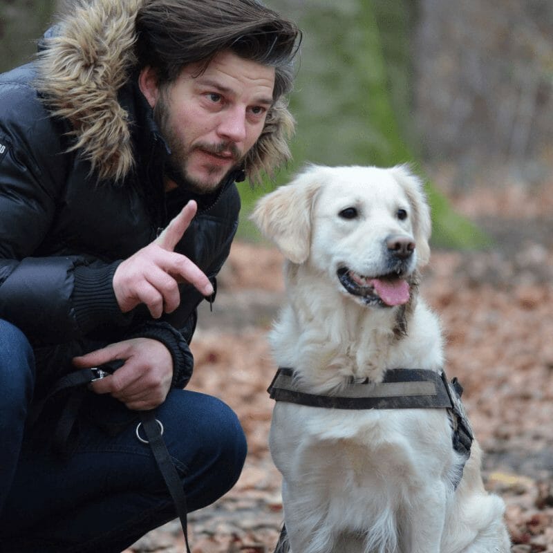 How To A Pet Sitter With No Experience (5 Easy Steps) The