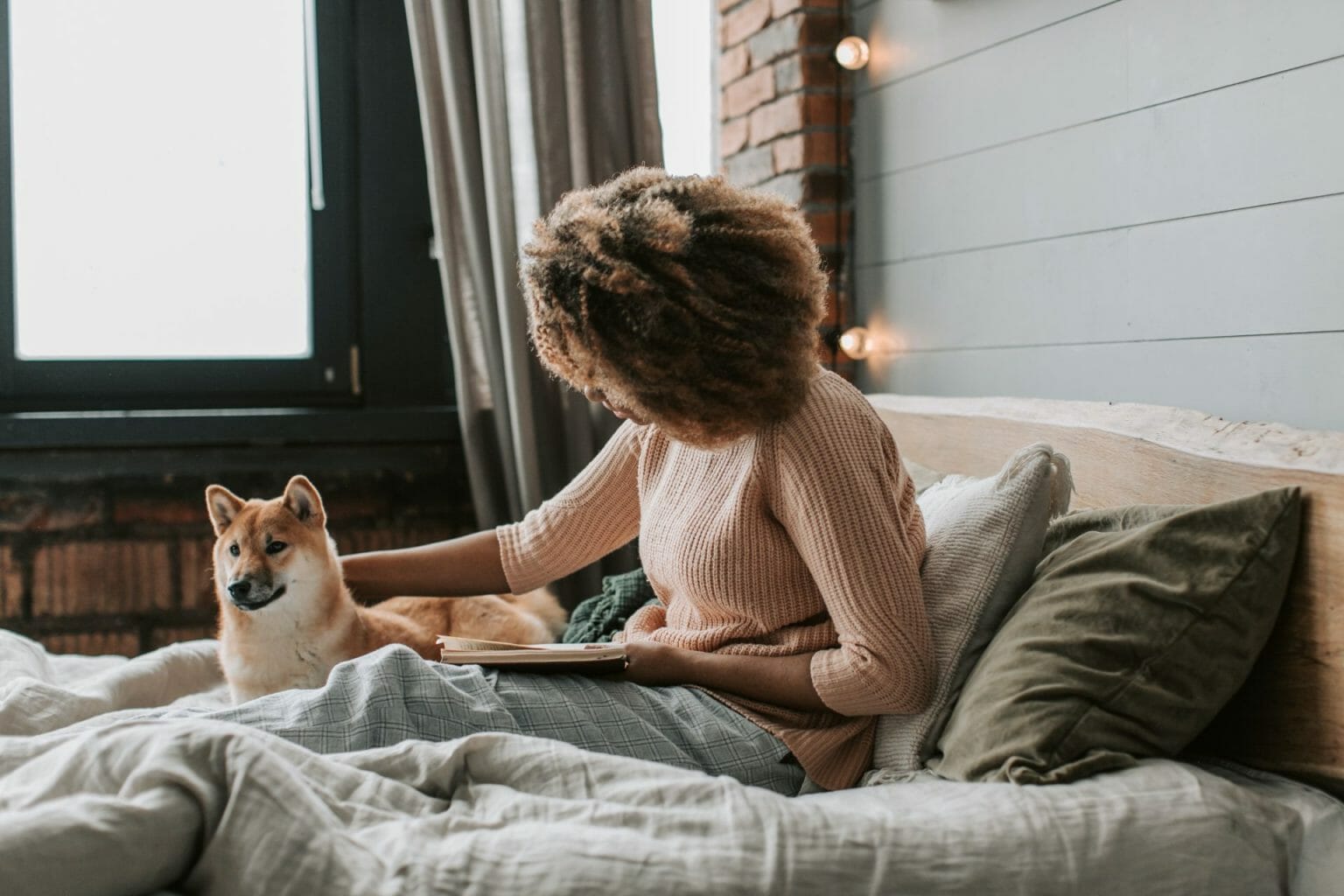 How To A Pet Sitter With No Experience (5 Easy Steps) The Travelling House Sitters