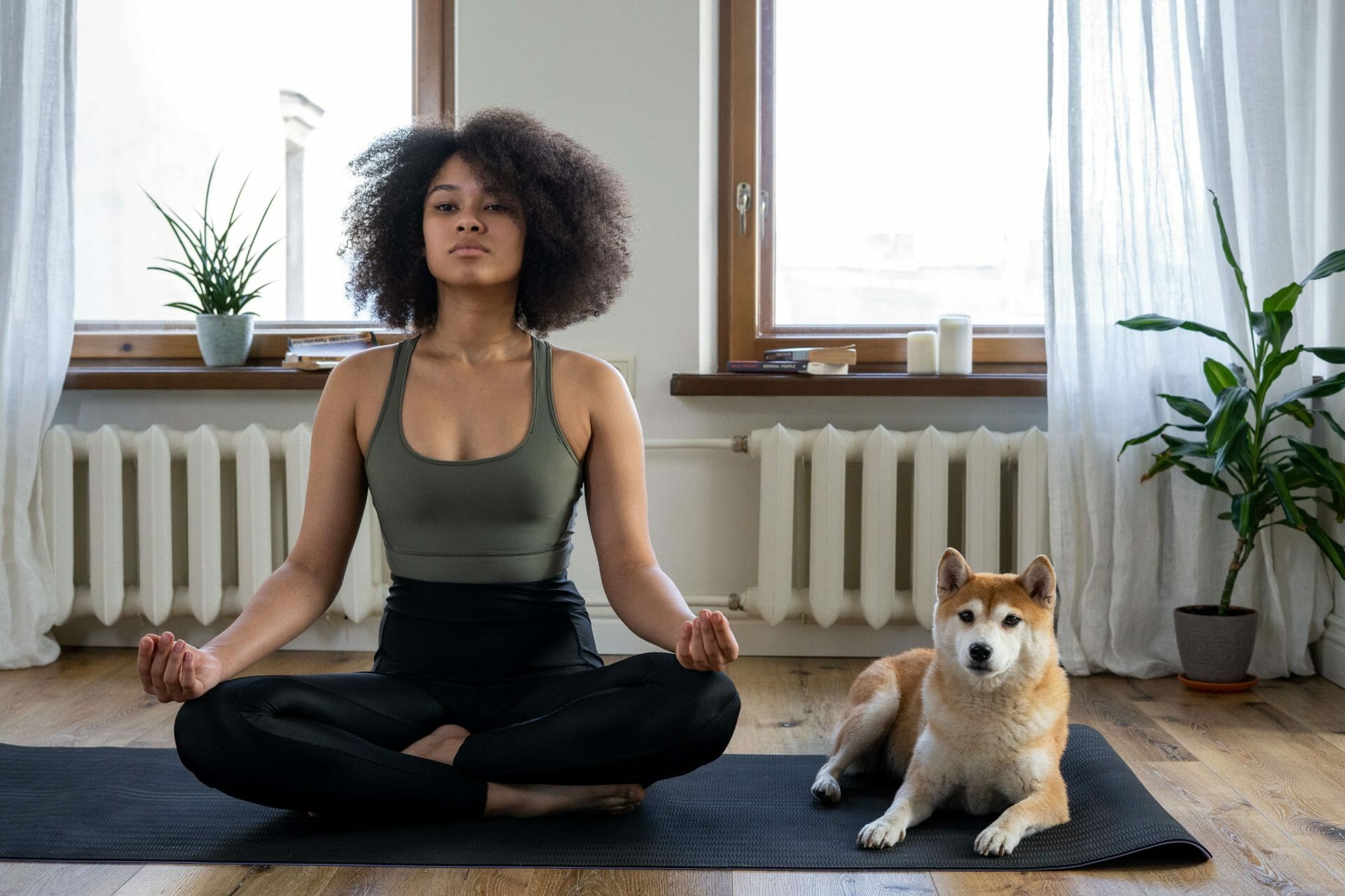 How To Become A Pet Sitter With No Experience 5 Easy Steps The